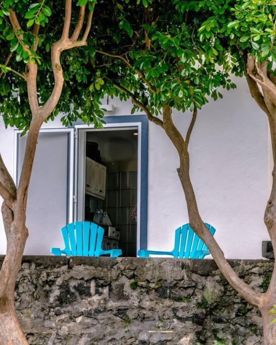 City Center, 200 Meters To Marina, Walk To Everything, Private Yard And Garden 蓬塔德尔加达 外观 照片